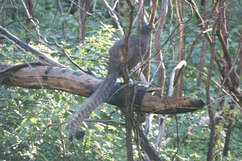 scaled.IMG_5307.jpg